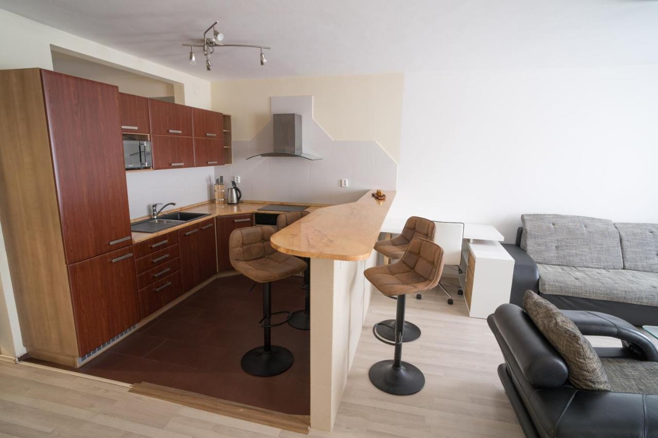 Apartment Vodni With Parking Brno Exteriör bild